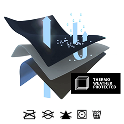 Picture of the TWP functions